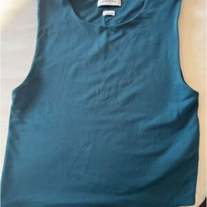 Aritzia Teal Sleeveless Women's Top